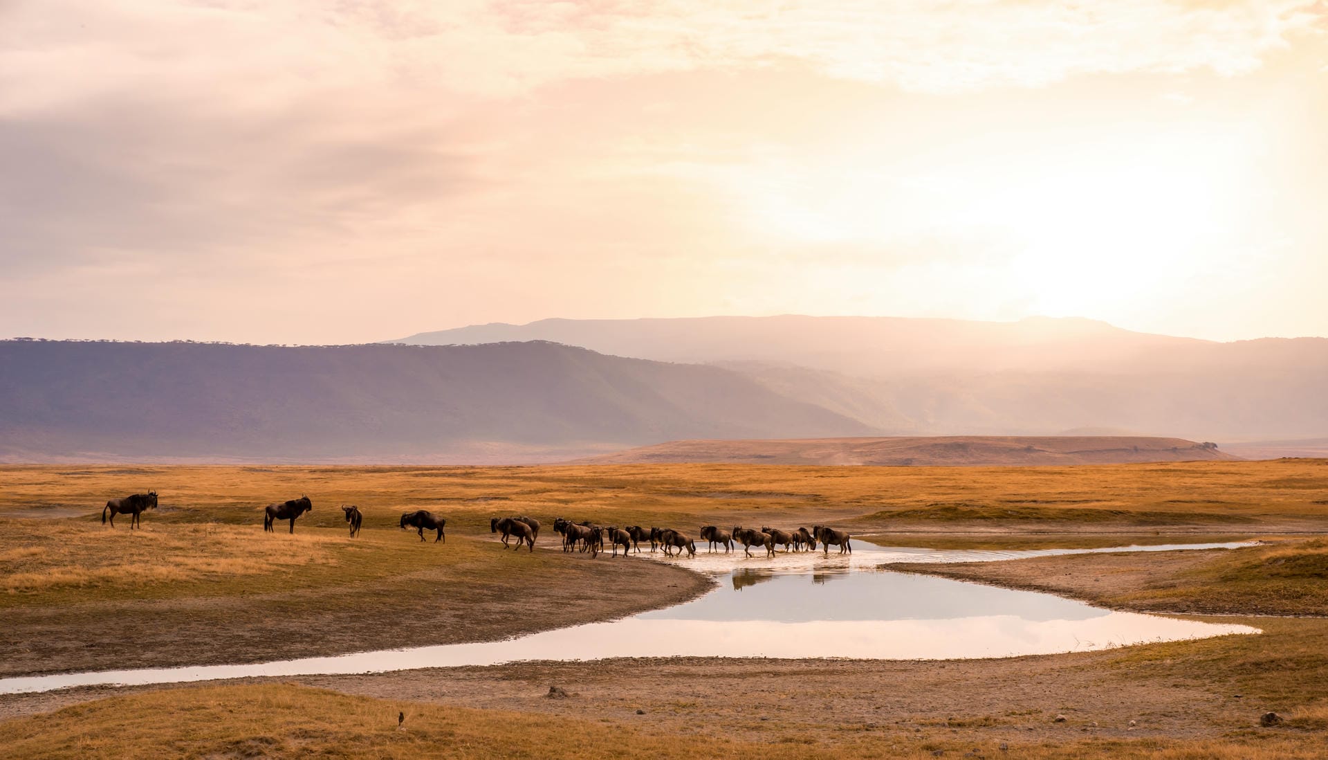 Blick auf die Serengeti