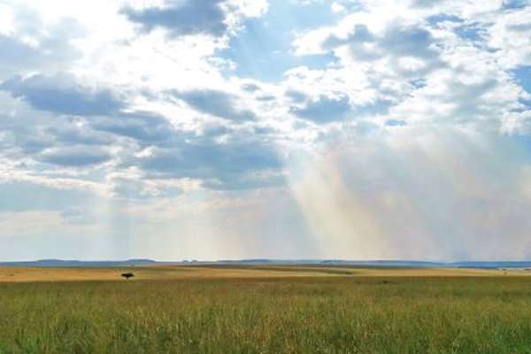Masai Mara in Kenia