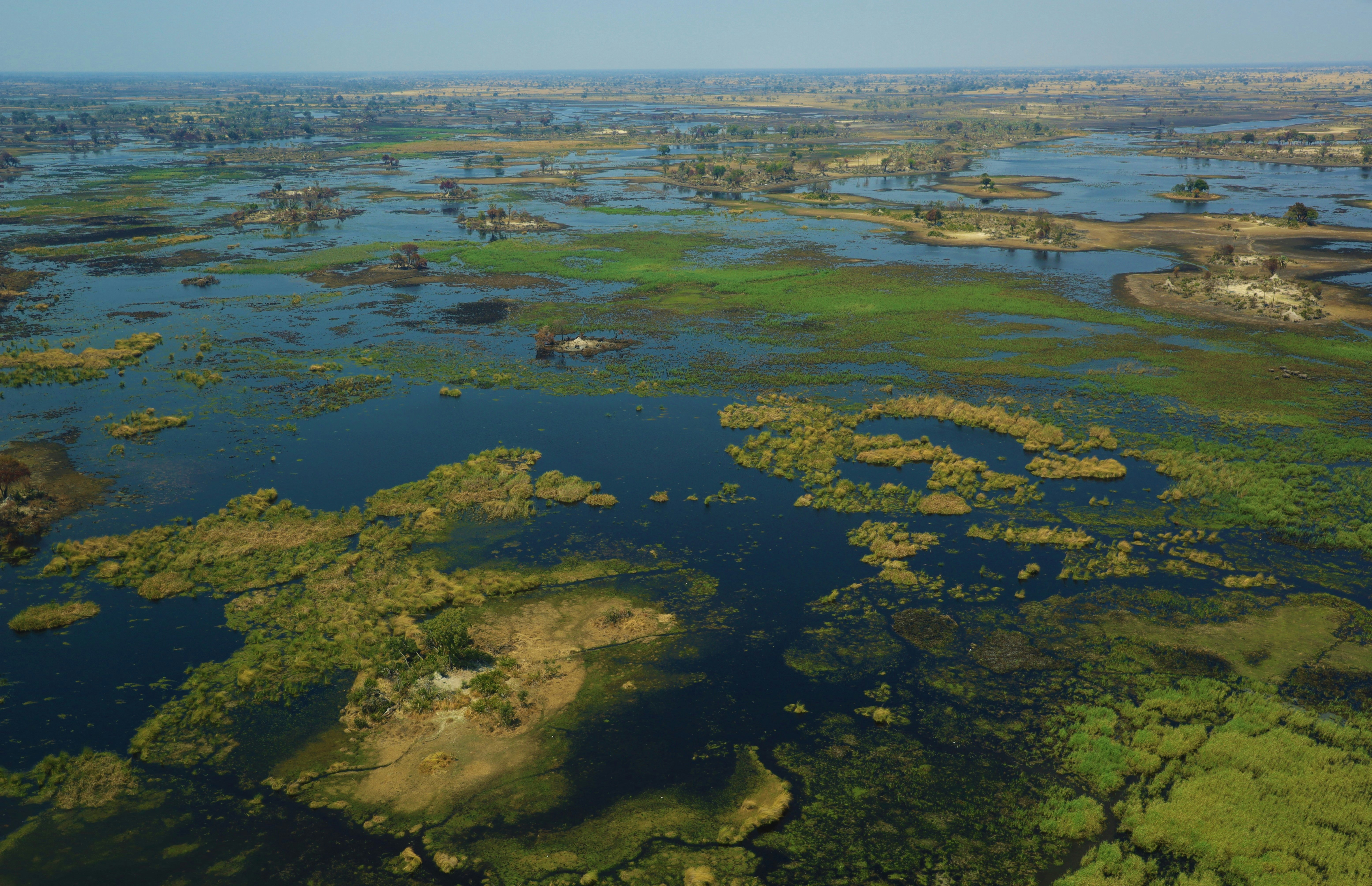 Luftaufnahme der Wasserwege im Okavango Delta