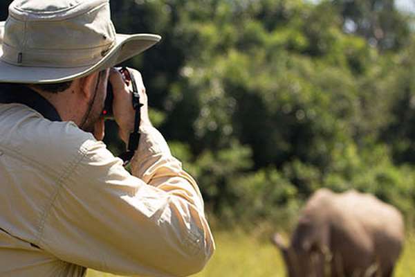 Walking Safari